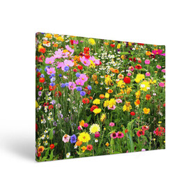 Холст прямоугольный с принтом Полевые цветы 1 в Петрозаводске, 100% ПВХ |  | Тематика изображения на принте: поле | полевые цветы | цветы