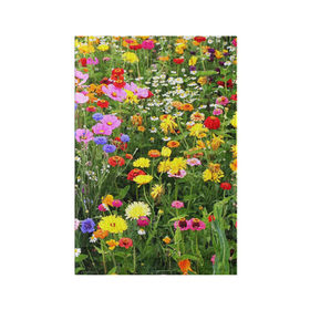 Обложка для паспорта матовая кожа с принтом Полевые цветы 1 в Петрозаводске, натуральная матовая кожа | размер 19,3 х 13,7 см; прозрачные пластиковые крепления | поле | полевые цветы | цветы
