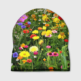 Шапка 3D с принтом Полевые цветы 1 в Петрозаводске, 100% полиэстер | универсальный размер, печать по всей поверхности изделия | поле | полевые цветы | цветы