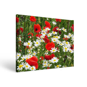 Холст прямоугольный с принтом Полевые цветы 2 в Петрозаводске, 100% ПВХ |  | Тематика изображения на принте: поле | полевые цветы | цветы