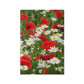 Обложка для паспорта матовая кожа с принтом Полевые цветы 2 в Петрозаводске, натуральная матовая кожа | размер 19,3 х 13,7 см; прозрачные пластиковые крепления | поле | полевые цветы | цветы