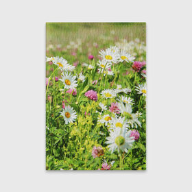 Обложка для паспорта матовая кожа с принтом Полевые цветы 3 в Петрозаводске, натуральная матовая кожа | размер 19,3 х 13,7 см; прозрачные пластиковые крепления | поле | полевые цветы | цветы