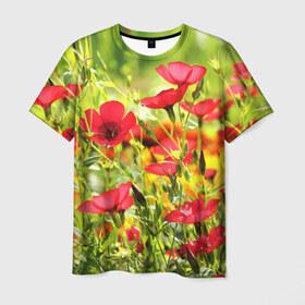 Мужская футболка 3D с принтом Полевые цветы 5 в Петрозаводске, 100% полиэфир | прямой крой, круглый вырез горловины, длина до линии бедер | поле | полевые цветы | цветы