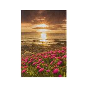 Обложка для паспорта матовая кожа с принтом Полевые цветы 9 в Петрозаводске, натуральная матовая кожа | размер 19,3 х 13,7 см; прозрачные пластиковые крепления | поле | полевые цветы | цветы
