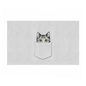 Бумага для упаковки 3D с принтом Кот в кармане 2 в Петрозаводске, пластик и полированная сталь | круглая форма, металлическое крепление в виде кольца | Тематика изображения на принте: animals | cat | kitty | животные | кот | котик