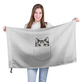 Флаг 3D с принтом Кот в кармане 2 в Петрозаводске, 100% полиэстер | плотность ткани — 95 г/м2, размер — 67 х 109 см. Принт наносится с одной стороны | animals | cat | kitty | животные | кот | котик