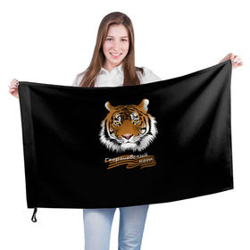 Флаг 3D с принтом Георгиевский кот в Петрозаводске, 100% полиэстер | плотность ткани — 95 г/м2, размер — 67 х 109 см. Принт наносится с одной стороны | георгиевская лента | георгиевский кот | тигр