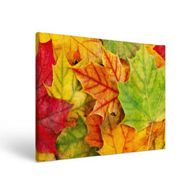 Холст прямоугольный с принтом Краски осени в Петрозаводске, 100% ПВХ |  | листва | листья | осень