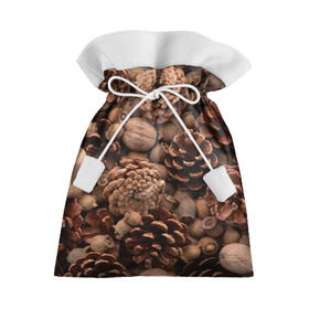 Подарочный 3D мешок с принтом Шишки и орешки в Петрозаводске, 100% полиэстер | Размер: 29*39 см | Тематика изображения на принте: дуб | ёлка | ель | жёлудь | иголки | кедр | лес | орех | орешки | осень | сосна | шишки
