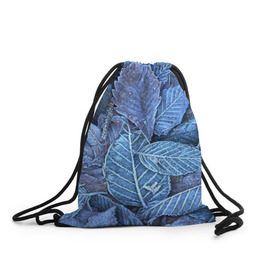 Рюкзак-мешок 3D с принтом Застывшие листья в Петрозаводске, 100% полиэстер | плотность ткани — 200 г/м2, размер — 35 х 45 см; лямки — толстые шнурки, застежка на шнуровке, без карманов и подкладки | иней | мороз | осень | холод
