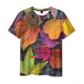 Мужская футболка 3D с принтом Дары осени в Петрозаводске, 100% полиэфир | прямой крой, круглый вырез горловины, длина до линии бедер | жёлтый | золотой | красный | листва | листья | наряд | осень