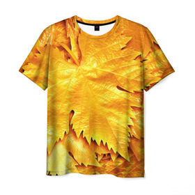 Мужская футболка 3D с принтом Золотая осень в Петрозаводске, 100% полиэфир | прямой крой, круглый вырез горловины, длина до линии бедер | Тематика изображения на принте: жёлтый | золотой | клён | красота | листва | листья | наряд | осень | осина | покров | природа