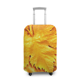 Чехол для чемодана 3D с принтом Золотая осень в Петрозаводске, 86% полиэфир, 14% спандекс | двустороннее нанесение принта, прорези для ручек и колес | жёлтый | золотой | клён | красота | листва | листья | наряд | осень | осина | покров | природа