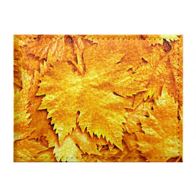 Обложка для студенческого билета с принтом Золотая осень в Петрозаводске, натуральная кожа | Размер: 11*8 см; Печать на всей внешней стороне | Тематика изображения на принте: жёлтый | золотой | клён | красота | листва | листья | наряд | осень | осина | покров | природа