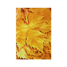 Обложка для паспорта матовая кожа с принтом Золотая осень в Петрозаводске, натуральная матовая кожа | размер 19,3 х 13,7 см; прозрачные пластиковые крепления | Тематика изображения на принте: жёлтый | золотой | клён | красота | листва | листья | наряд | осень | осина | покров | природа