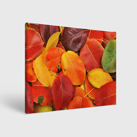 Холст прямоугольный с принтом Осенний покров в Петрозаводске, 100% ПВХ |  | жёлтый | золотой | красный | листва | листья | осень