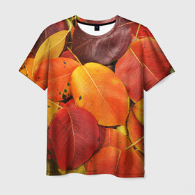 Мужская футболка 3D с принтом Осенний покров в Петрозаводске, 100% полиэфир | прямой крой, круглый вырез горловины, длина до линии бедер | жёлтый | золотой | красный | листва | листья | осень