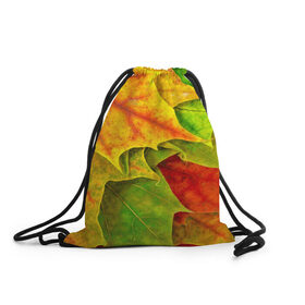 Рюкзак-мешок 3D с принтом Осенний наряд в Петрозаводске, 100% полиэстер | плотность ткани — 200 г/м2, размер — 35 х 45 см; лямки — толстые шнурки, застежка на шнуровке, без карманов и подкладки | жёлтый | зелёный | красный | листва | листья | оранжевый
