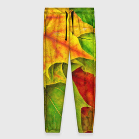 Женские брюки 3D с принтом Осенний наряд в Петрозаводске, полиэстер 100% | прямой крой, два кармана без застежек по бокам, с мягкой трикотажной резинкой на поясе и по низу штанин. В поясе для дополнительного комфорта — широкие завязки | жёлтый | зелёный | красный | листва | листья | оранжевый