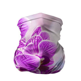 Бандана-труба 3D с принтом Божественная орхидея в Петрозаводске, 100% полиэстер, ткань с особыми свойствами — Activecool | плотность 150‒180 г/м2; хорошо тянется, но сохраняет форму | 8 марта | букет | весна | красота | куст | лето | орхидея | подарок | сиреневый цвет | цветок | шикарный цветочек
