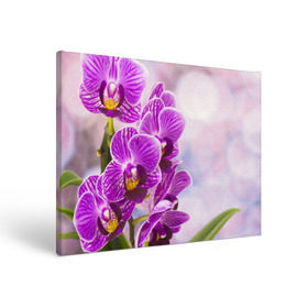 Холст прямоугольный с принтом Божественная орхидея в Петрозаводске, 100% ПВХ |  | 8 марта | букет | весна | красота | куст | лето | орхидея | подарок | сиреневый цвет | цветок | шикарный цветочек