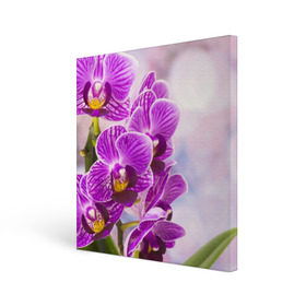 Холст квадратный с принтом Божественная орхидея в Петрозаводске, 100% ПВХ |  | 8 марта | букет | весна | красота | куст | лето | орхидея | подарок | сиреневый цвет | цветок | шикарный цветочек