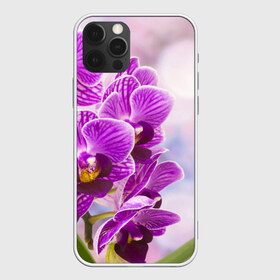 Чехол для iPhone 12 Pro Max с принтом Божественная орхидея в Петрозаводске, Силикон |  | Тематика изображения на принте: 8 марта | букет | весна | красота | куст | лето | орхидея | подарок | сиреневый цвет | цветок | шикарный цветочек