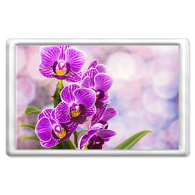Магнит 45*70 с принтом Божественная орхидея в Петрозаводске, Пластик | Размер: 78*52 мм; Размер печати: 70*45 | Тематика изображения на принте: 8 марта | букет | весна | красота | куст | лето | орхидея | подарок | сиреневый цвет | цветок | шикарный цветочек