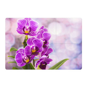 Магнитный плакат 3Х2 с принтом Божественная орхидея в Петрозаводске, Полимерный материал с магнитным слоем | 6 деталей размером 9*9 см | Тематика изображения на принте: 8 марта | букет | весна | красота | куст | лето | орхидея | подарок | сиреневый цвет | цветок | шикарный цветочек