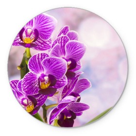 Коврик круглый с принтом Божественная орхидея в Петрозаводске, резина и полиэстер | круглая форма, изображение наносится на всю лицевую часть | Тематика изображения на принте: 8 марта | букет | весна | красота | куст | лето | орхидея | подарок | сиреневый цвет | цветок | шикарный цветочек