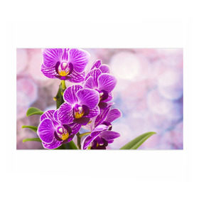 Бумага для упаковки 3D с принтом Божественная орхидея в Петрозаводске, пластик и полированная сталь | круглая форма, металлическое крепление в виде кольца | Тематика изображения на принте: 8 марта | букет | весна | красота | куст | лето | орхидея | подарок | сиреневый цвет | цветок | шикарный цветочек