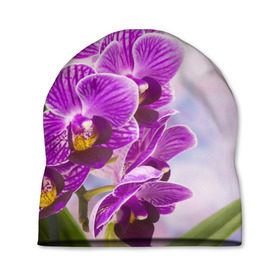 Шапка 3D с принтом Божественная орхидея в Петрозаводске, 100% полиэстер | универсальный размер, печать по всей поверхности изделия | Тематика изображения на принте: 8 марта | букет | весна | красота | куст | лето | орхидея | подарок | сиреневый цвет | цветок | шикарный цветочек
