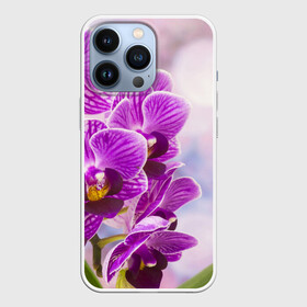 Чехол для iPhone 13 Pro с принтом Божественная орхидея в Петрозаводске,  |  | 8 марта | букет | весна | красота | куст | лето | орхидея | подарок | сиреневый цвет | цветок | шикарный цветочек