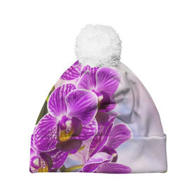 Шапка 3D c помпоном с принтом Божественная орхидея в Петрозаводске, 100% полиэстер | универсальный размер, печать по всей поверхности изделия | 8 марта | букет | весна | красота | куст | лето | орхидея | подарок | сиреневый цвет | цветок | шикарный цветочек