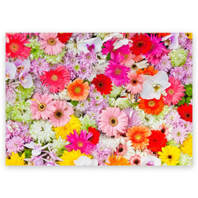 Поздравительная открытка с принтом Обилие цветов в Петрозаводске, 100% бумага | плотность бумаги 280 г/м2, матовая, на обратной стороне линовка и место для марки
 | 8 марта | букет | георгина | изобилие | красота | куст | лето | обилие | петунья | подснежник | полевые | разные цветы | роза | ромашка | тюльпан | хризантема | цветочек | цветы
