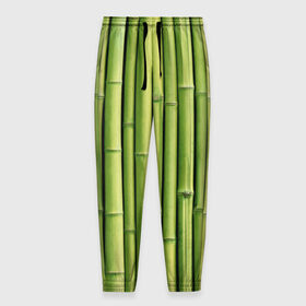 Мужские брюки 3D с принтом Бамбук в Петрозаводске, 100% полиэстер | манжеты по низу, эластичный пояс регулируется шнурком, по бокам два кармана без застежек, внутренняя часть кармана из мелкой сетки | бамбук | дерево | джунгли | кустарник | надёжность | прочность | стена