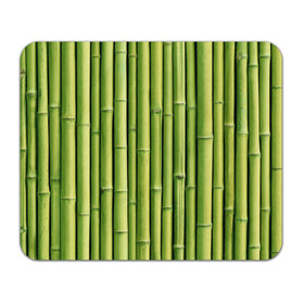 Коврик прямоугольный с принтом Бамбук в Петрозаводске, натуральный каучук | размер 230 х 185 мм; запечатка лицевой стороны | Тематика изображения на принте: бамбук | дерево | джунгли | кустарник | надёжность | прочность | стена