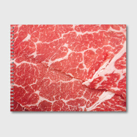 Альбом для рисования с принтом Кусок мяса в Петрозаводске, 100% бумага
 | матовая бумага, плотность 200 мг. | Тематика изображения на принте: баранина | бекон | белок | говядина | еда | жилы | кровь | кусок | мощь | мышцы | мясо | нарезка | отбивная | пища | протеин | свинина | сила | телятина | туша | филе | хрящи