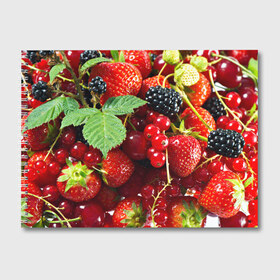 Альбом для рисования с принтом Любимые ягоды в Петрозаводске, 100% бумага
 | матовая бумага, плотность 200 мг. | вкусно | голубика | дача | деревня | ежевика | зелень | клубника | малина | огород | полезно | сад | смородина | сок | фрукты | черника | шиповник | ягоды