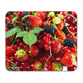 Коврик прямоугольный с принтом Любимые ягоды в Петрозаводске, натуральный каучук | размер 230 х 185 мм; запечатка лицевой стороны | вкусно | голубика | дача | деревня | ежевика | зелень | клубника | малина | огород | полезно | сад | смородина | сок | фрукты | черника | шиповник | ягоды