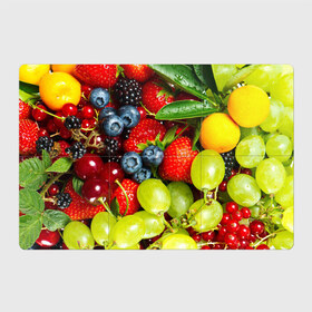 Магнитный плакат 3Х2 с принтом Вкусные ягоды в Петрозаводске, Полимерный материал с магнитным слоем | 6 деталей размером 9*9 см | Тематика изображения на принте: виноград | вкусно | голубика | дача | деревня | ежевика | клубника | малина | огород | полезно | рябина | сад | смородина | сок | фрукты | черника | ягоды