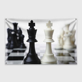 Флаг-баннер с принтом Шахматы в Петрозаводске, 100% полиэстер | размер 67 х 109 см, плотность ткани — 95 г/м2; по краям флага есть четыре люверса для крепления | белая | черная | шахматы