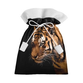 Подарочный 3D мешок с принтом Тигр в Петрозаводске, 100% полиэстер | Размер: 29*39 см | полосы | хищник