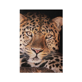 Обложка для паспорта матовая кожа с принтом Леопард в Петрозаводске, натуральная матовая кожа | размер 19,3 х 13,7 см; прозрачные пластиковые крепления | Тематика изображения на принте: гепард | грация | дикая кошка | добыча | животные | леопард | ловкость | опасность | пятна | хищник | ягуар