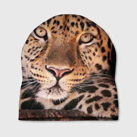 Шапка 3D с принтом Леопард в Петрозаводске, 100% полиэстер | универсальный размер, печать по всей поверхности изделия | гепард | грация | дикая кошка | добыча | животные | леопард | ловкость | опасность | пятна | хищник | ягуар