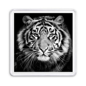 Магнит 55*55 с принтом Красавец тигр в Петрозаводске, Пластик | Размер: 65*65 мм; Размер печати: 55*55 мм | джунгли | дикая кошка | животные | зверь | король | кровь | мясо | опасность | охотник | тигр | хищник | царь | цирк