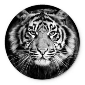 Коврик круглый с принтом Красавец тигр в Петрозаводске, резина и полиэстер | круглая форма, изображение наносится на всю лицевую часть | джунгли | дикая кошка | животные | зверь | король | кровь | мясо | опасность | охотник | тигр | хищник | царь | цирк
