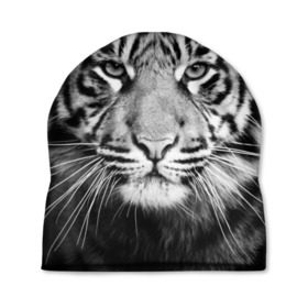 Шапка 3D с принтом Красавец тигр в Петрозаводске, 100% полиэстер | универсальный размер, печать по всей поверхности изделия | джунгли | дикая кошка | животные | зверь | король | кровь | мясо | опасность | охотник | тигр | хищник | царь | цирк