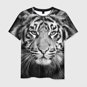 Мужская футболка 3D с принтом Красавец тигр в Петрозаводске, 100% полиэфир | прямой крой, круглый вырез горловины, длина до линии бедер | Тематика изображения на принте: джунгли | дикая кошка | животные | зверь | король | кровь | мясо | опасность | охотник | тигр | хищник | царь | цирк