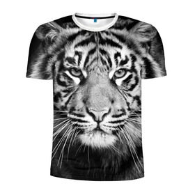 Мужская футболка 3D спортивная с принтом Красавец тигр в Петрозаводске, 100% полиэстер с улучшенными характеристиками | приталенный силуэт, круглая горловина, широкие плечи, сужается к линии бедра | Тематика изображения на принте: джунгли | дикая кошка | животные | зверь | король | кровь | мясо | опасность | охотник | тигр | хищник | царь | цирк